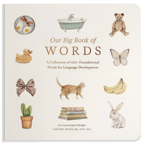 Our Big Book of First Words: A Collection of 100+ Foundational Words for Language Development (Our Little Adventures Series)