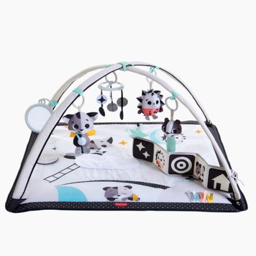 Magical Tales Gymini Baby Activity Gym and Mat - Ages 0+