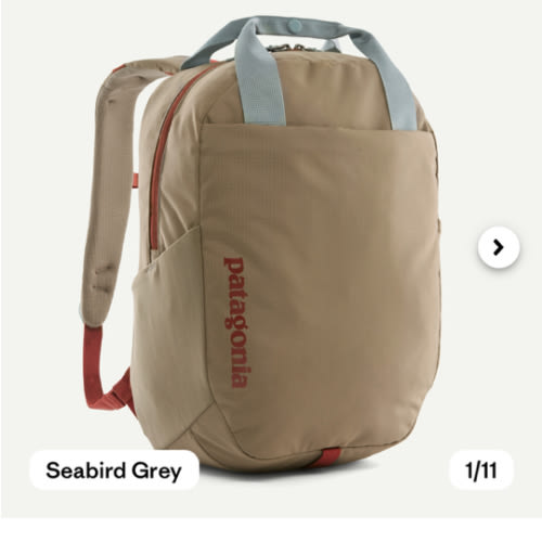 Patagonia Atom Tote Backpack 20L