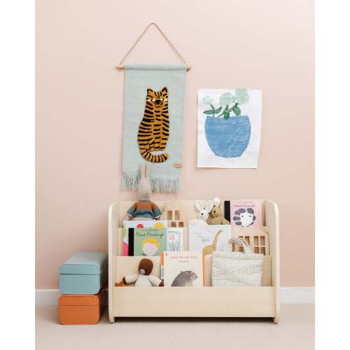 Montessori Bookshelf