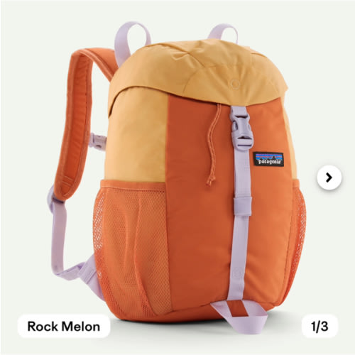 Patagonia Kids' Refugito Daypack 12L
