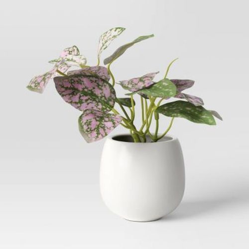 6" Mini Tabletop Polka Dot Artificial Plant - Threshold™