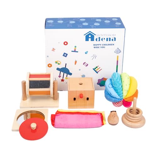 Montessori Toys Play Kit for 3-9 Months Baby Includes: Mirror Puzzle,Spinning Drum,Fabric Ball,Roly-Poly,Wooden Discs on Vertical Dowel 3,Tissue Box Intractive Interesting Toys