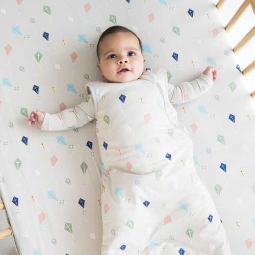 Sleep Bag in Kite 1.0