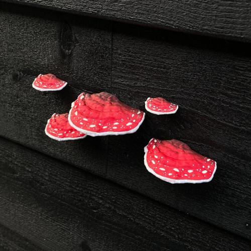 Stick-on Wall Mushrooms, Set of 5 - Red Amanita