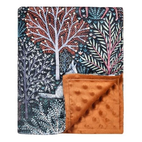 Baby Blanket, Soft Minky Warm Blanket for Boy or Girl, Receiving Blanket with Double Layer Dotted Backing for Newborns Nursery Stroller Toddlers Crib Bedding (30 x 40 Inch) (Forest Animals)