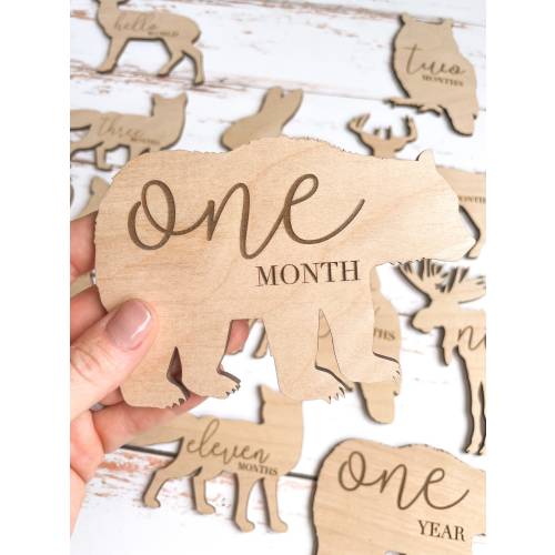 Wooden Monthly Milestone Disc & Woodland Animals For Baby Photos, Woodland Theme Nursery, Monthly Milestone Marker Baby Gift Milestone Cards