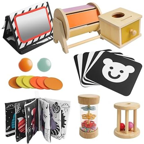 Montessori Toys for Babies 6 Months, Montessori Learning Educational Toys with Spinning Drum Baby Toy, Object Permanence Box