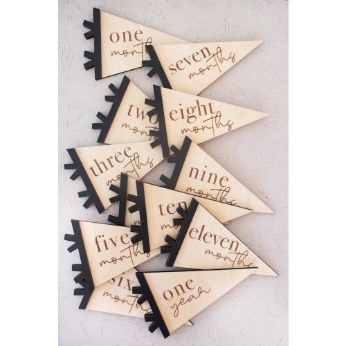 Baby Monthly Milestone Marker Pennant Flag Baby Photo Prop - Etsy