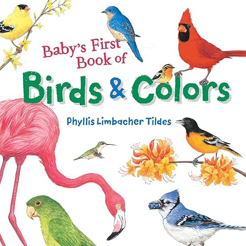 Baby's First Book of Birds & Colors Board book – Illustrated, May 2, 2017