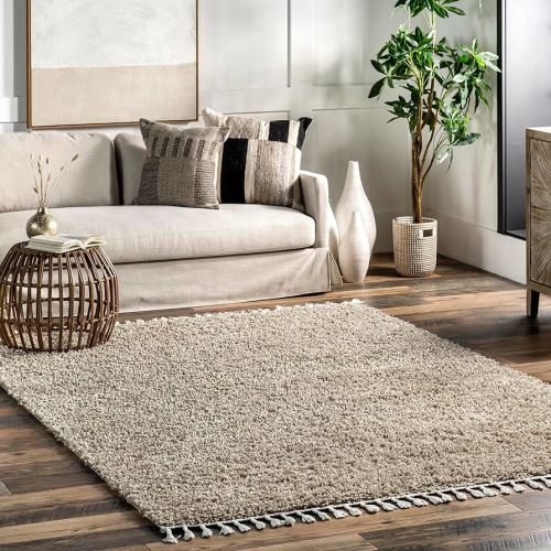 Amazon.com: nuLOOM Neva Modern Tasseled Shag Area Rug, 4x6, Beige : Home & Kitchen