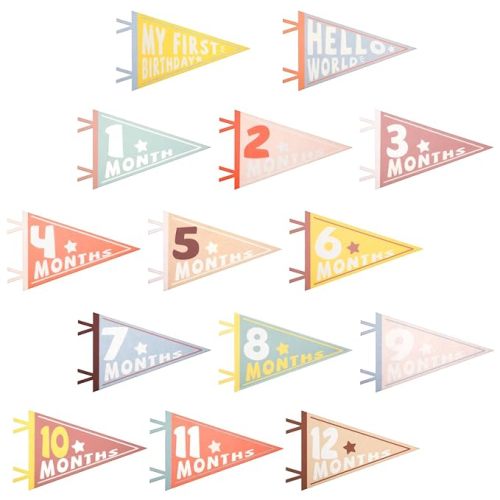 14pcs Baby Milestone Flags, Felt Monthly Milestone Pennant Flag Colorful Baby Milestone Signs for Newborn Baby Shower 1st Birthday Party Decorations (Pattern 1)