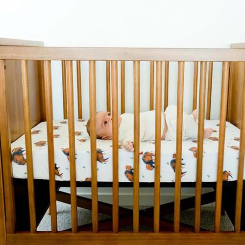 Bison Fitted Crib Sheet | 100% Cotton Muslin | Super Soft | Sized for Standard Baby Crib & Toddler Mattress | Machine Washable | 52” x 28” x 9”