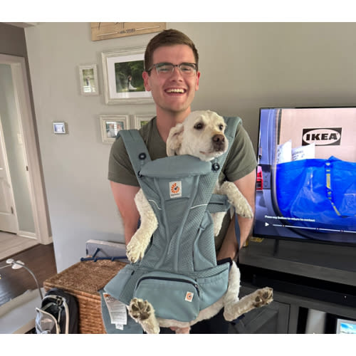 Shop Omni Breeze Baby Carrier: Breathable Mesh Comfort | Ergobaby