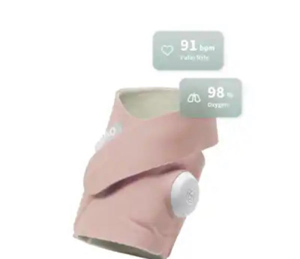 Dream Sock® – Owlet US