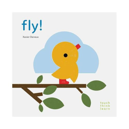 Touch Think Learn: Fly!