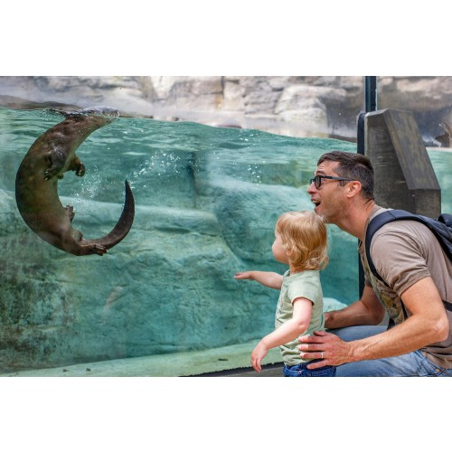 Dual Membership — Tennessee Aquarium
