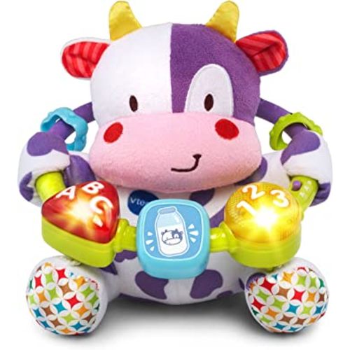 VTech Baby Lil' Critters Moosical Beads, Purple