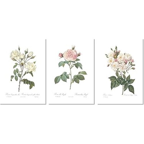 Ink Inc. Vintage Botanical Prints | Roses White Pink Wall Art | Floral Decor | Set of 3 8"x10" Unframed