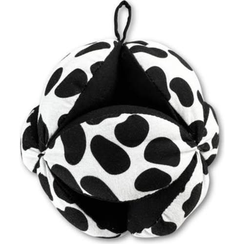 Sensory Grasp Ball