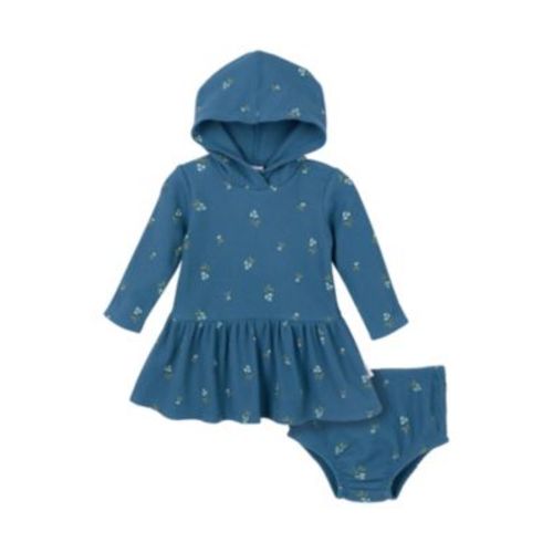 Baby Girls Baby Long Sleeve Dress and Diaper Cover Set, 2 Piece (Blue Berries, size 3-6m)