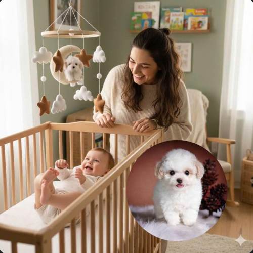 Custom Crochet Dog, Custom Baby Mobile, Crib mobile,  Nursery Decor, Nursery Baby Mobile, baby shower, baby nursery, baby room decor