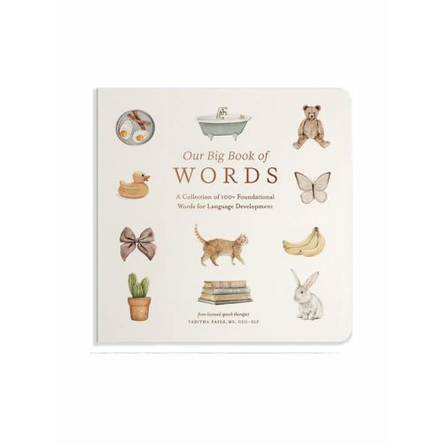 Our Big Book of Words by Tabitha Paige