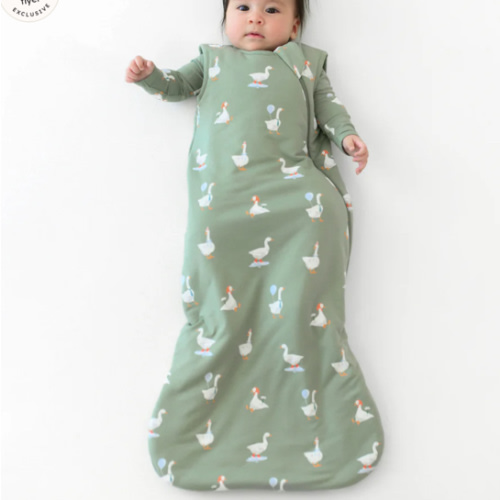 Sleep Bag in Silly Goose 1.0