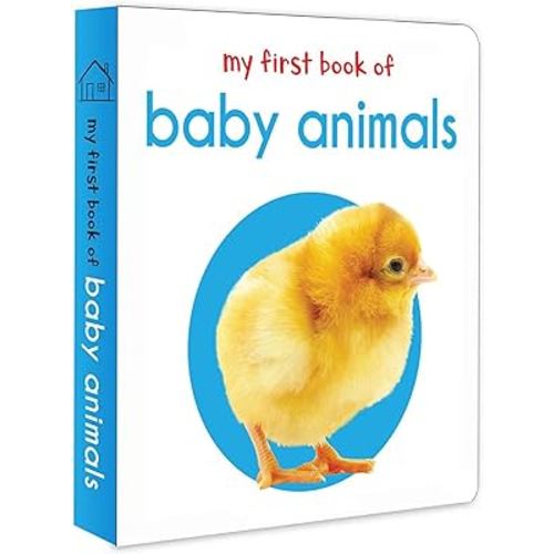 MY FIRST BOOK OF BABY ANIMALS : FIRST BOARD BOOK