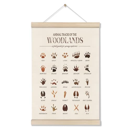 DOI-LANEE Woodland Tracks Poster Hanger Frame, Canvas Artwork Woodland Nursery, Jungle Nursery Decor, Animal Tracks Field Guide Sign, Forest Wall Art, Boy Wall Decor