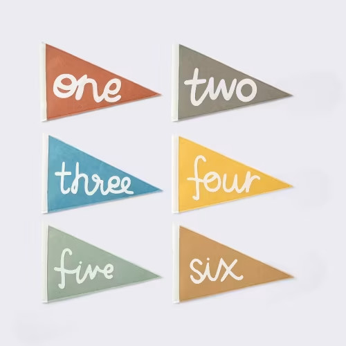 Cloud Island™ Milestone Felt Pennants - Multi Color