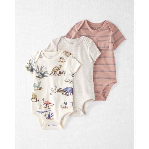 Baby 3-Pack Organic Cotton Rib Bodysuits - Style,Prehistoric Print, Painterly Stripes