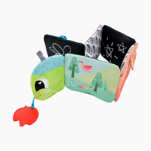 Colorful Journey Caterpillar Book