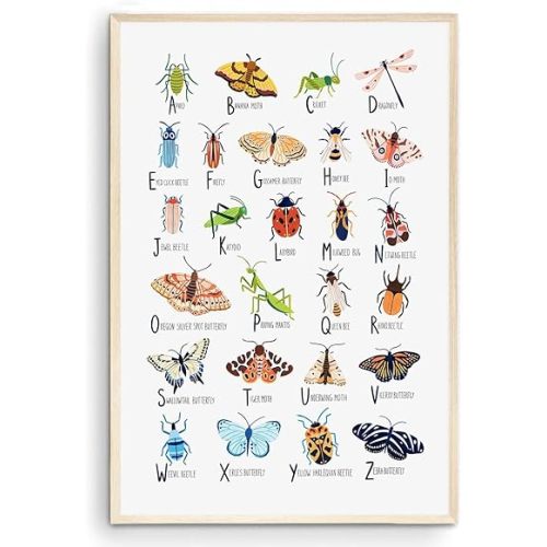 Nationcog Insect Alphabet Print, Nursery Wall Art, Bugs Print, Kids Room Decor, Nursery Decor, Alphabet Poster, Kids Wall Art, Gift for Him Her (Unframed) (20x30)