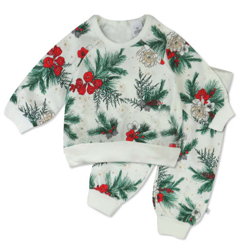 2-Piece Cozy Sweatsuit Set | Honest Baby Clothing