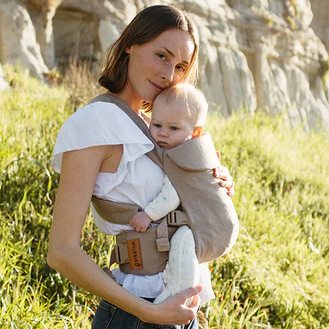 Desert Lark - Aerial Carrier – WildBird