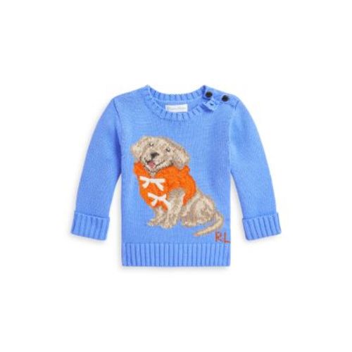 Polo Boys' Dog Intarsia Cotton Sweater - 9M