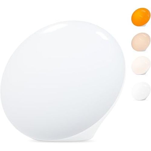 LASTAR Sun Lamp, 10,000 Lux Sunlight Lamp with 4 Color Temperatures & 5 Brightness & 1H Timer, Touch Control Daylight Lamp with Memory Function for Home