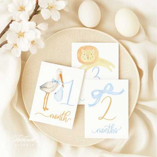 Boy Milestone Cards – Baby Monthly Cards with Stork Design | Baby Shower Gift | New Mom Keepsake | Baby Boy Photo Props & Memory Cards