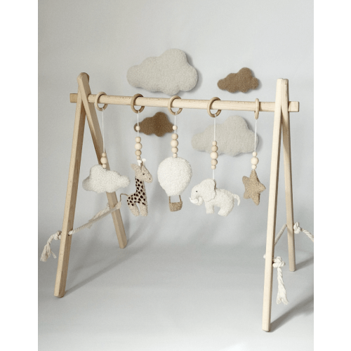 Montessori Style Wooden Gym Frame for Play