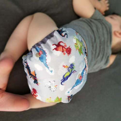 Too Smart Diaper Cover 2.0 - Dragon Dreams – Smart Bottoms