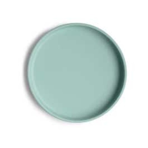 Classic Silicone Suction Plate
