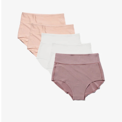 Bodily All-In Panty Multi Pack for Postpartum & C-Sections