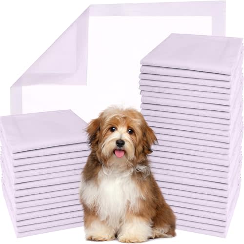 GREEN LIFESTYLE Pee Pads - Super Absorbent & Leak-Proof Pee Pads for Dogs - Puppy Pads - Waterproof Dog Pads, Lavender Scented Dog Training Pads for Cats, Rabbits (Pack of 100 - 22x22)