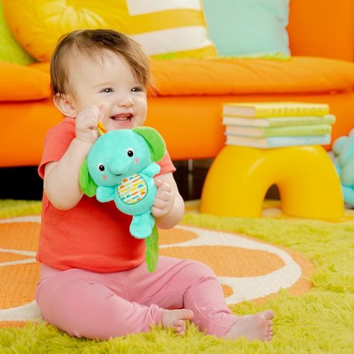 Bright Starts Easy-Grasp Toys, BPA Free, Unisex, Newborn and Up - Blue/Green