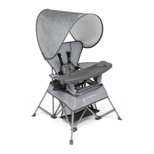 Baby Delight Go With Me Venture Deluxe Portable Chair