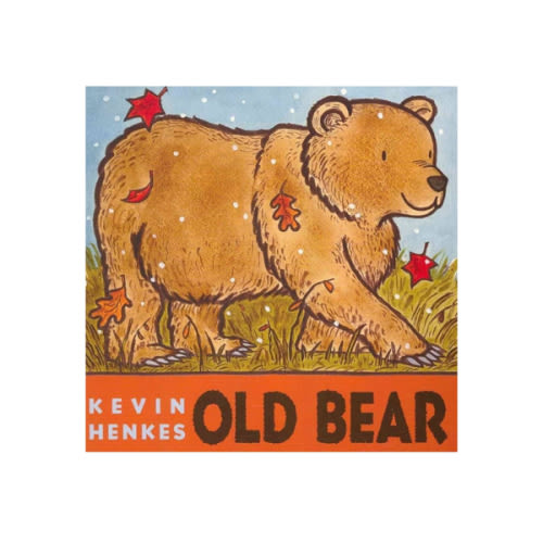Old Bear Board Book