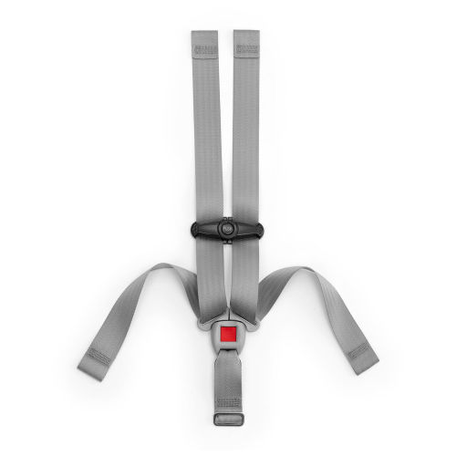 KeyFit, KeyFit 30 and KeyFit 35 Car Seat--5 Point Harness & Chest Clip | Chicco