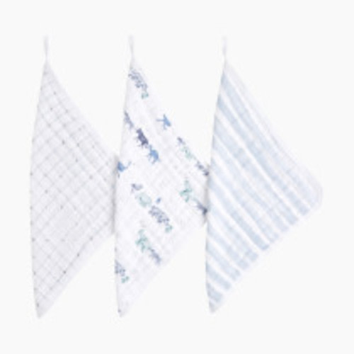 Aden + Anais Washcloths (3 Pack) - Rising Star