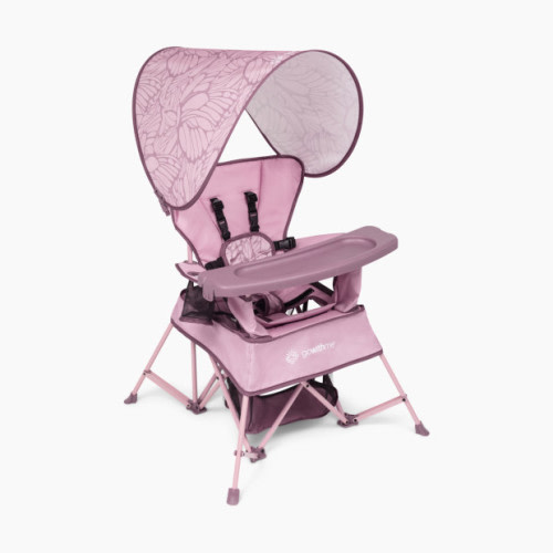 Baby Delight Go With Me Venture Deluxe Portable Chair - Canyon Rose